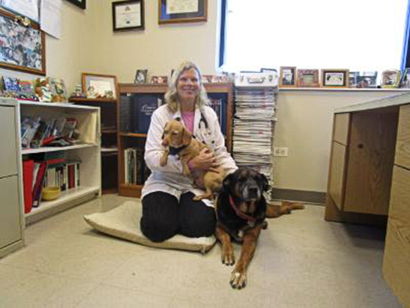 Dr Jennifer Hart